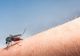 Încă o persoană a murit din cauza infectării cu virusul West Nile. Două cazuri la Giurgiu