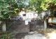 Inspectorii sanitar-veterinari, năpădiți de purici în focarul de pestă porcină! Începe curățenia