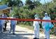 Anchetă penală în cazul epidemiei de pestă porcină