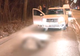 Accident neobişnuit. Un porc mistreţ a fost lovit de un autoturism, în Giurgiu