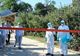 Focarul de pestă porcină de la Daia nu se confirmă. Eroare a laboratorului!