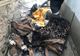 Bătrân imobilizat la pat, salvat dintr-un incendiu, la Frătești