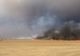 Incendiu pe Autostrada 1. Au ars zeci de hectare de vegetație uscată