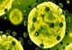 Australia a confirmat primul său caz de îmbolnăvire cu noul tip de coronavirus în statul Victoria