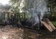 Adăpost de animale, în flăcări, la Pietrele. Un viţel a fost găsit carbonizat