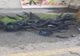 Giurgiu. Incendiu la o baracă din lemn din Parcul Alei