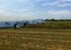 100 de hectare de miriște, în flăcări! Pompierii intervin