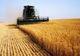 Dan Motreanu, eurodeputat: "Noua Politică Agricolă Comună (PAC) va consolida drepturile lucrătorilor sezonieri"