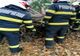 Giurgiu. Accident rutier pe DJ 504. Șoferul unui autoturism a decedat 