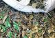 Peste 22 de tone de deșeuri din plastic, oprite la Vama Giurgiu