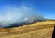 Giurgiu. Patru hectare de grâu au fost cuprinse de flăcări, la Vieru