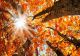 Temperaturi neobișnuit de mari, pe final de septembrie. Zonele lovite de ploi - prognoza meteo pe o lună