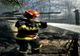 Giurgiu. Incendiu violent într-o gospodărie din Remuş