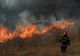 Giurgiu. Şase incendii de vegetaţie uscată, în acest weekend