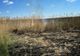 Giurgiu. Pompierii au intervenit pentru stingerea a două incendii de vegetaţie uscată