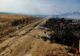 Giurgiu. Hectare întregi de orz şi vegetaţie uscată, distruse de incendii