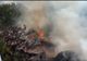 Un bărbat din Putineiu a suferit arsuri la nivelul membrelor superioare şi capului în timp ce încerca să stingă incendiul din propria locuinţă
